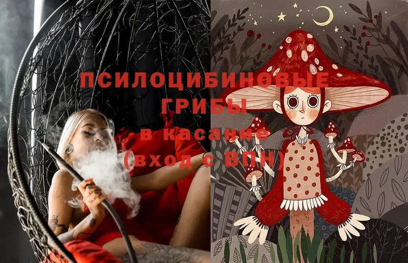 Галлюциногенные грибы Psilocybine cubensis  Глазов 